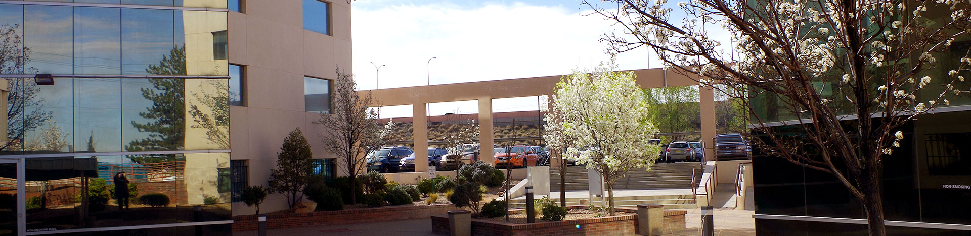 Center for Development and Disability Courtyard